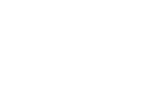 I-Detic